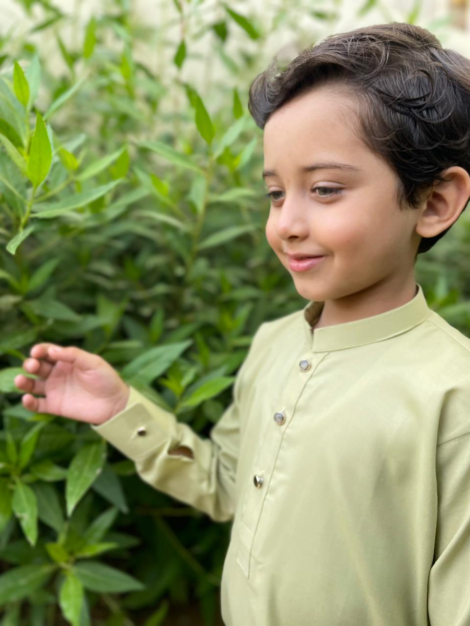 Tea Green Kurta Trouser Kt-008
