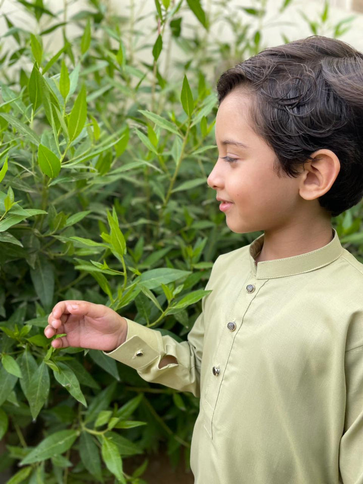 Tea Green Kurta Trouser Kt-008